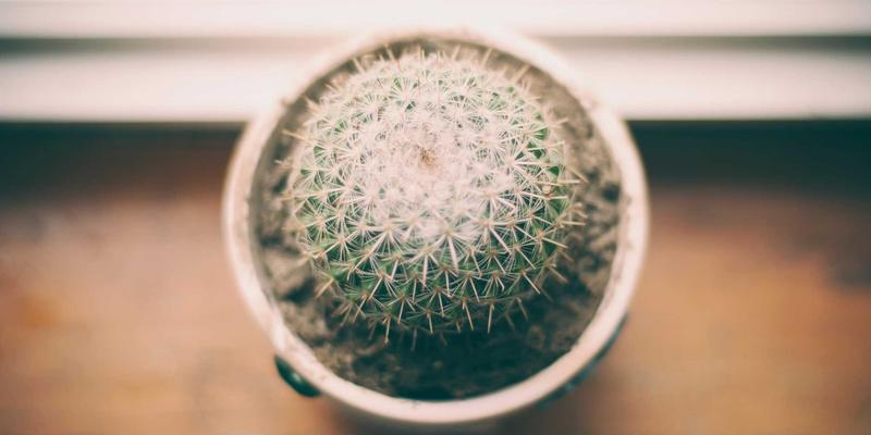 三门峡豫西民俗博物馆探访:从婚嫁习俗到农耕器具,沉浸式体验河洛风情