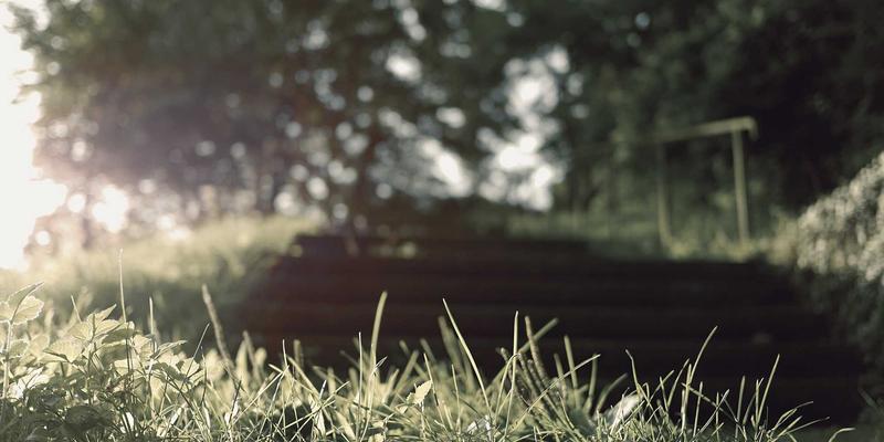 三门峡陕州故城遗址探秘:穿越千年的历史回响与文旅新篇