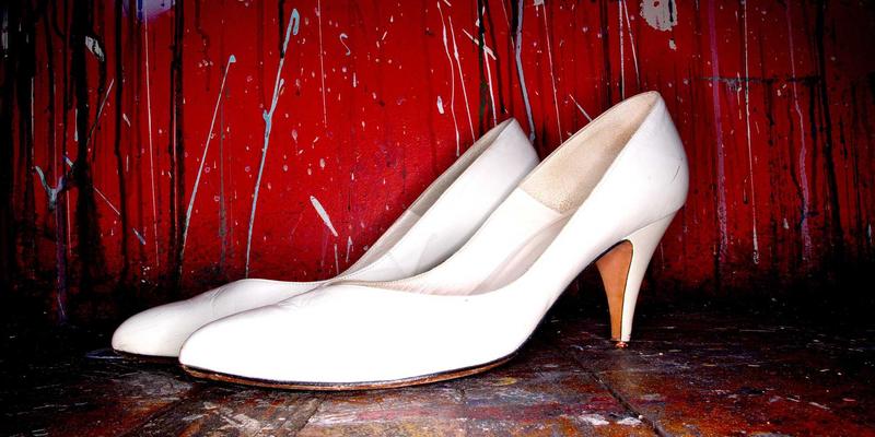 三门峡黄河湿地公园观鸟指南：邂逅季节精灵与国宝级珍禽