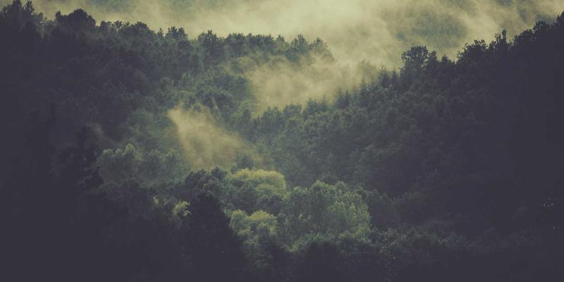 寻根华夏:探秘三门峡灵宝黄帝铸鼎原,在文明起源地与特色美食中穿越五千年