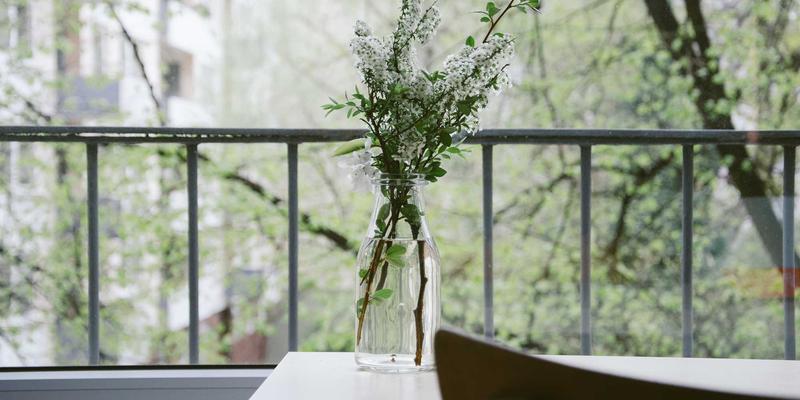 寻根铸鼎原:黄帝祭祀如何成为三门峡的文化密码与精神地标?